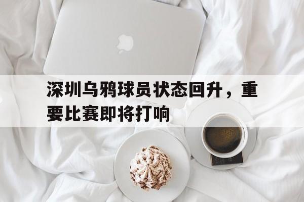 深圳乌鸦球员状态回升，重要比赛即将打响